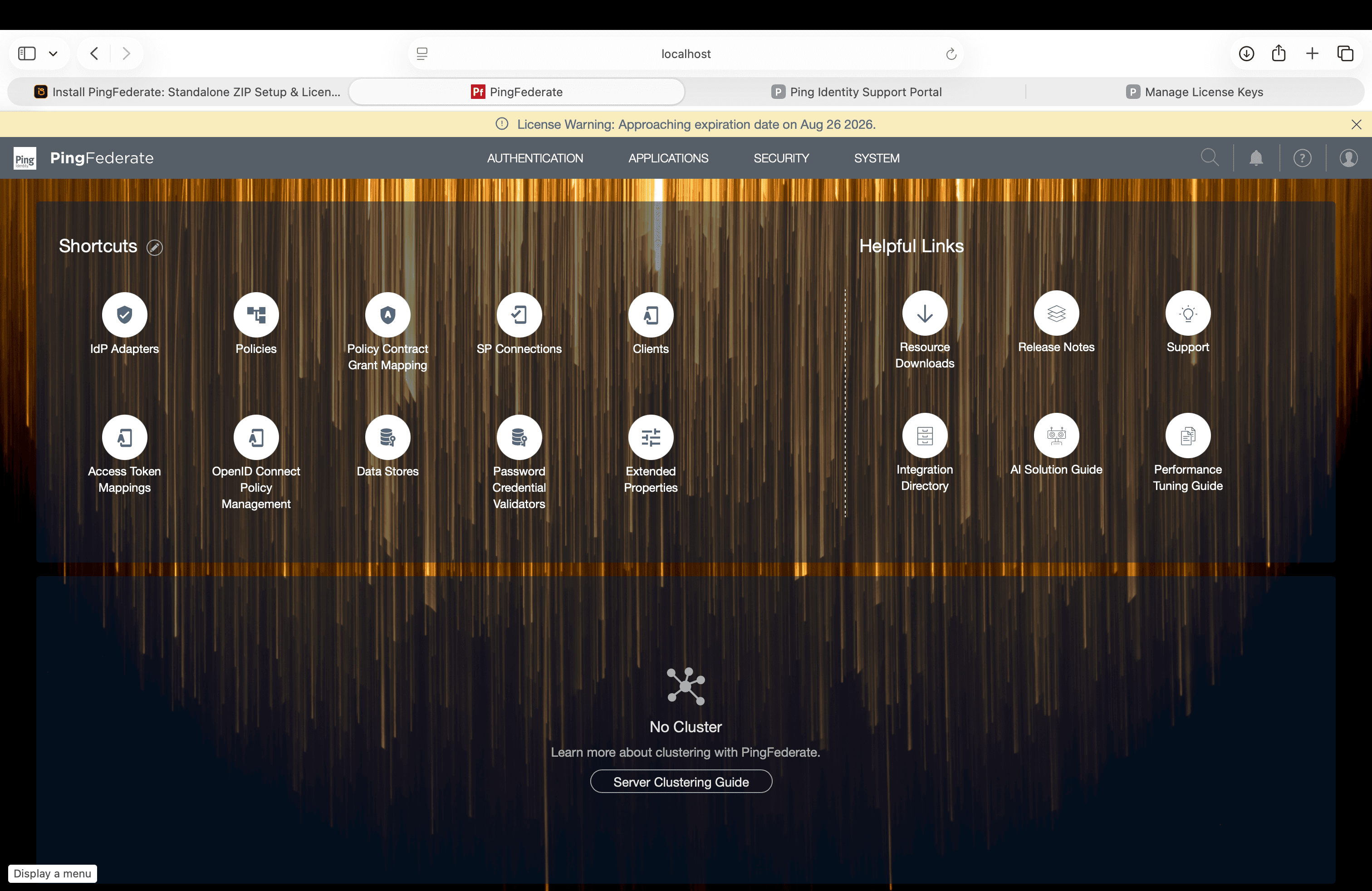 PingFederate Admin Console Main Dashboard showing shortcuts for IdP Adapters, SP Connections, Data Stores, and standalone No Cluster state